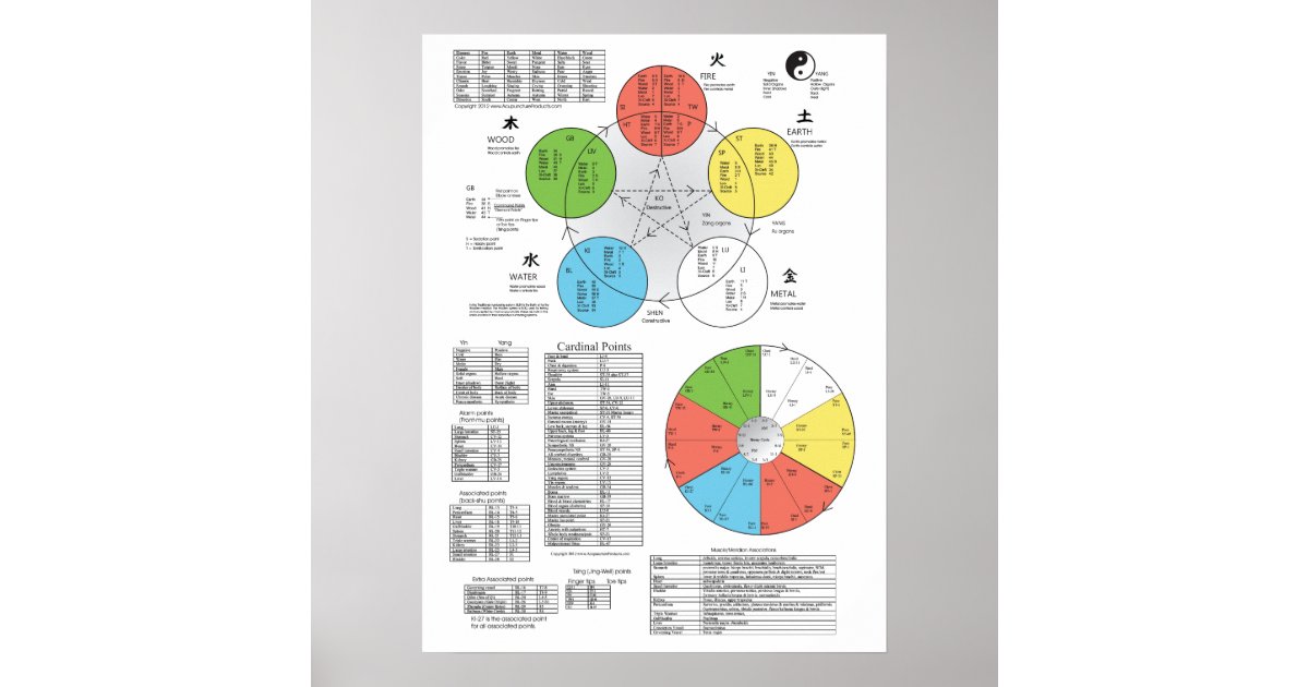 Colour Five Element Acupuncture Poster | Zazzle
