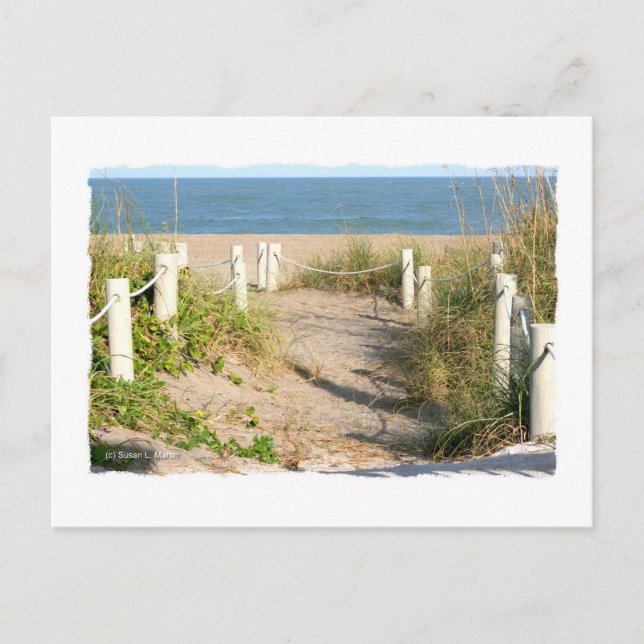 Colour Florida Beach Dune Rope Walk Photo Postcard (Front)