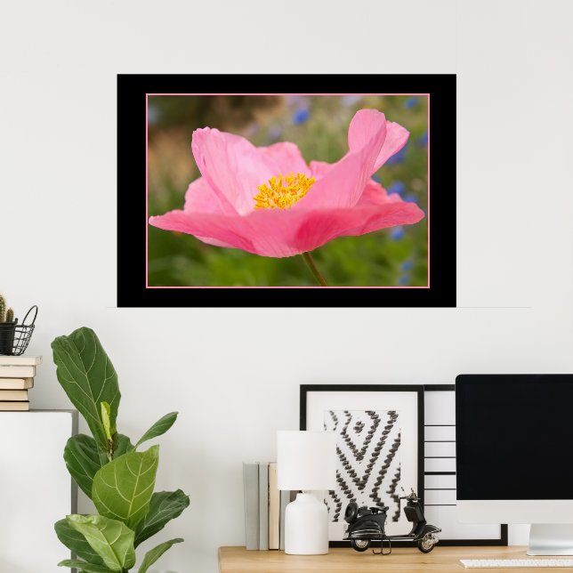 Colour Framed Pink Poppy Photograph Close-up Poster (Home Office)