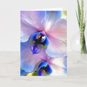 Colour fused orchids card