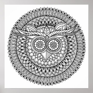 Colour It Poster OWL
