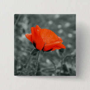 Colour key Poppy Button