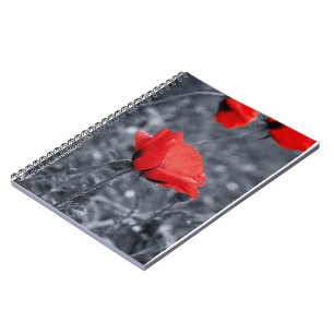 Colour key Poppy Notebook