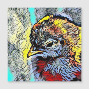 Colour Kick - Chick