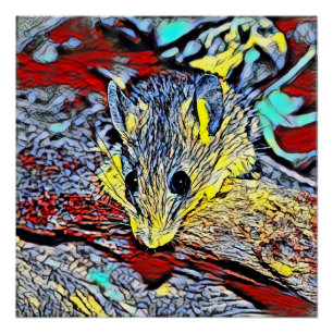 Colour kick - mouse poster