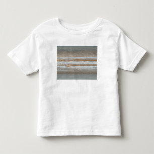 Colour map of Jupiter 2 Toddler T-Shirt