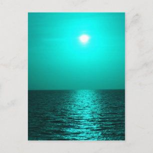 Colour Me Sea Postcard