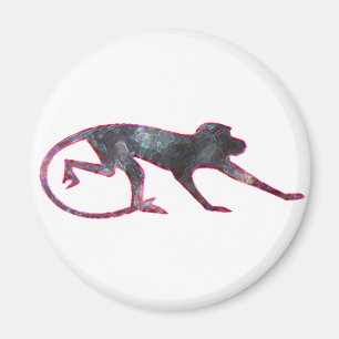 Colour Monkey Magnet