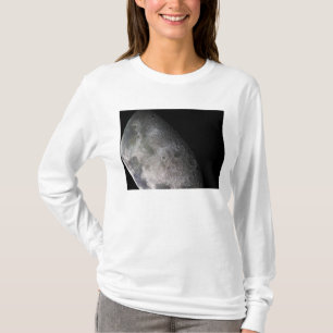 Colour mosaic of the Earth's moon T-Shirt