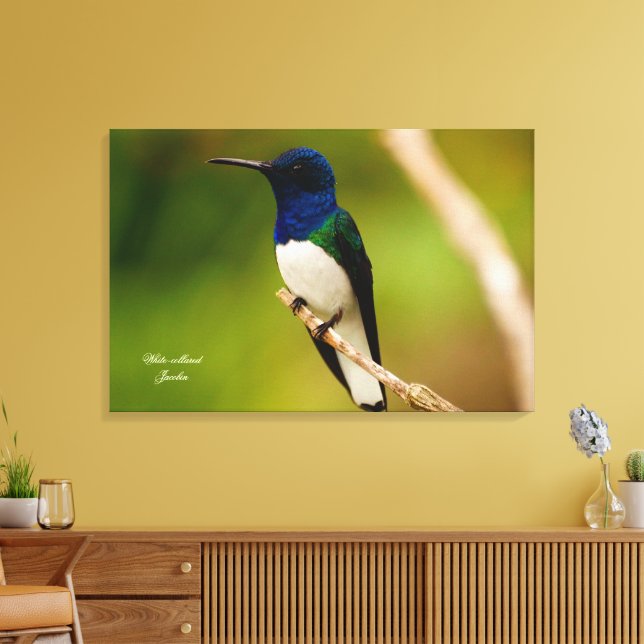 Colour of Contemplation Canvas Print (Insitu(LivingRoom))