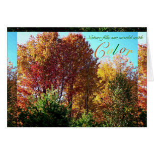Colour of Foliage
