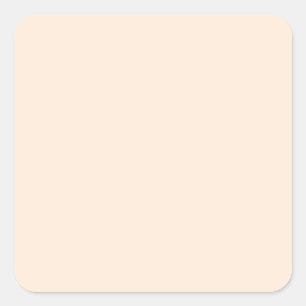 colour peach puff square sticker