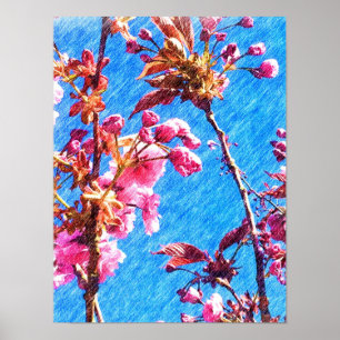 Colour Pencil Drawing - Spring Cherry Blossoms Poster