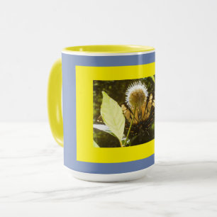 Colour Perfect Designs at Colour Perfect Gifts Mug