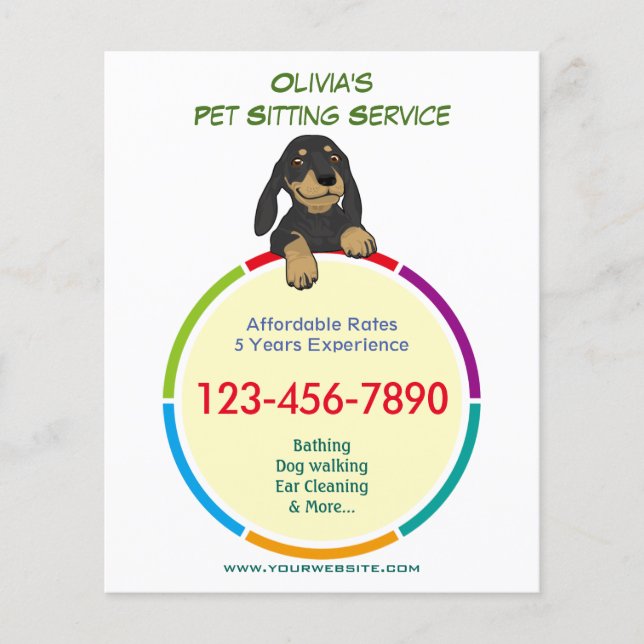 Colour Ring Pet Sitter Promotional Flyer (Front)