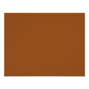colour saddle brown photo print