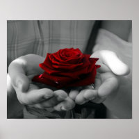 Colour Splash Red Rose Poster