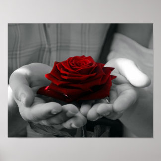 Colour Splash Red Rose Poster