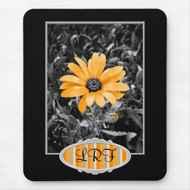 Colour Splash Spring Flash African Daisy Mouse Mat (Front)