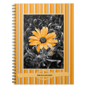 Colour Splash Spring Flash African Daisy Notebook