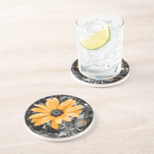 Colour Splash Spring Flash African Daisy Photograp Coaster