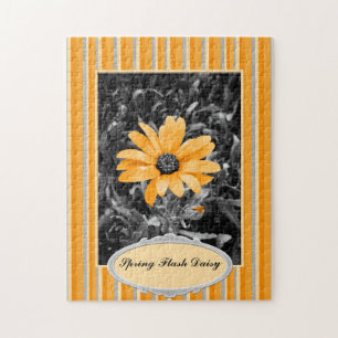 Colour Splash Spring Flash African Daisy Photograp Jigsaw Puzzle