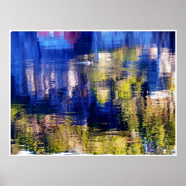 colour swim poster (Front)