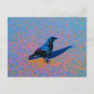 Colour the Crow Postcard