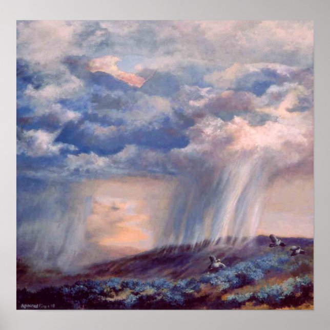 Colour Thunderstorm Quail Poster (Front)