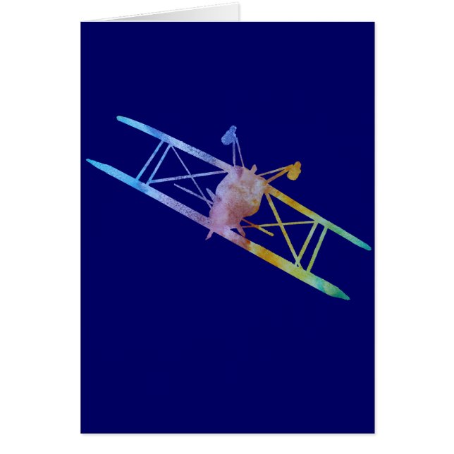Colour-washed Upside Down Stunt Plane (Front)