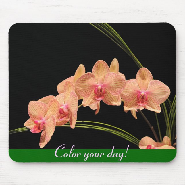Colour your day! mouse mat (Front)