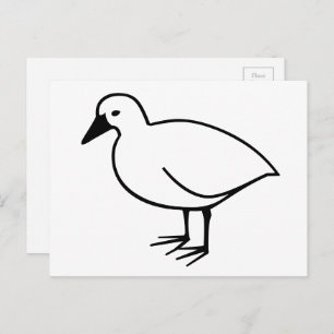 Colour-Your-Own Bird Postcard