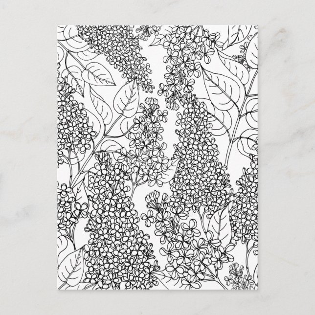 Colour Your Own Lilac Flowers Postcard (Front)