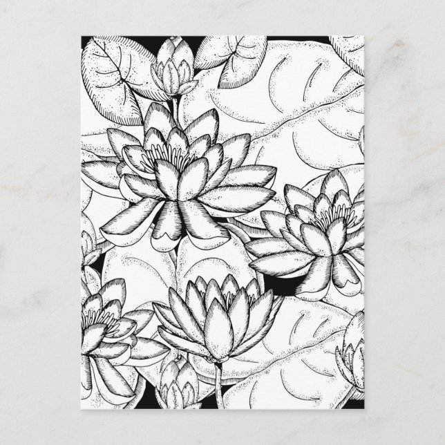 Colour Your Own Lotus Flowers Postcard (Front)