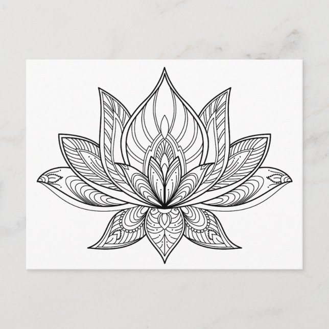 Colour Your Own Lotus Postcard (Front)