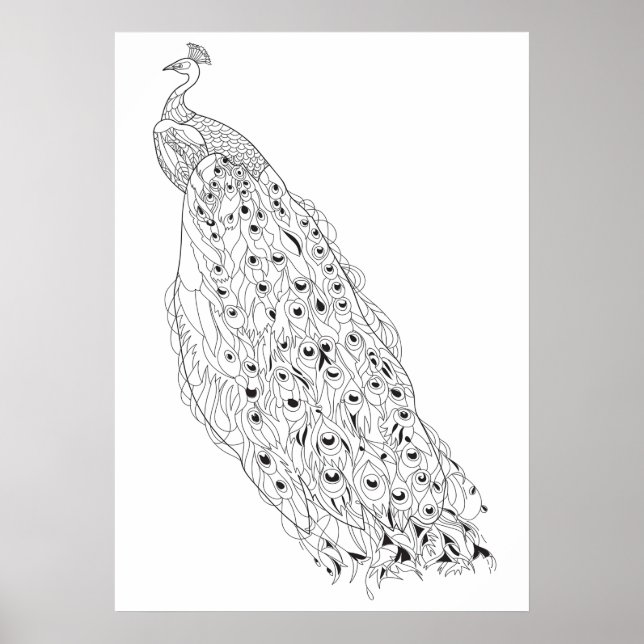 Colour Your Own Peacock Adult Colouring Poster (Front)