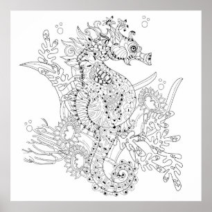 Colour Your Own Seahorse Adult Colouring Poster