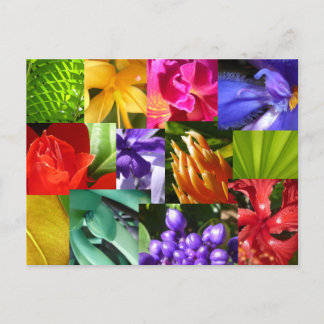 Colour Your World Postcard