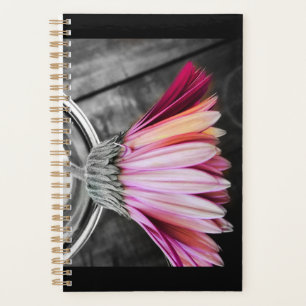 Colour Your Year Planner