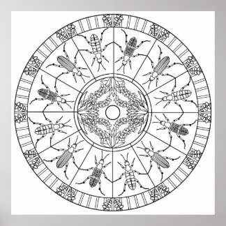 Colour Yourself Mandala Poster Blister Beetle Bugs