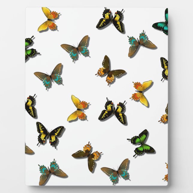 Coloured Butterflies Art Plaque (Front)