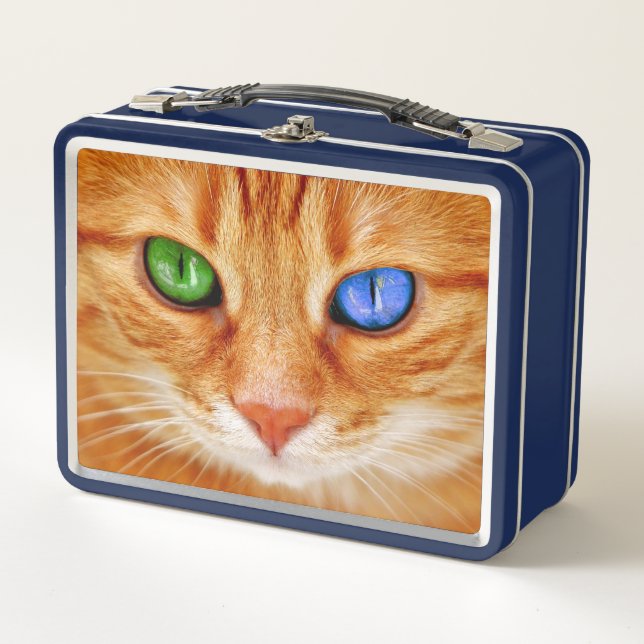Coloured Cat's Eyes Metal Lunch Box (Front)