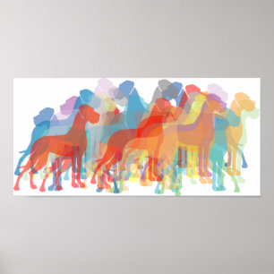 Coloured Danes Poster