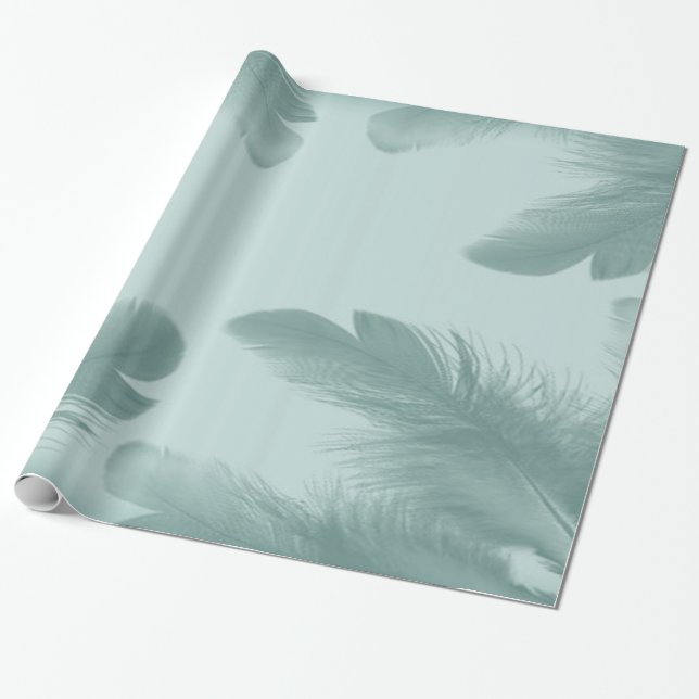 Coloured Feathers Wrapping Paper (Unrolled)