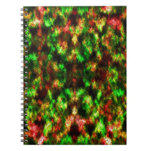 Coloured green, yellow to red with feathers. notebook