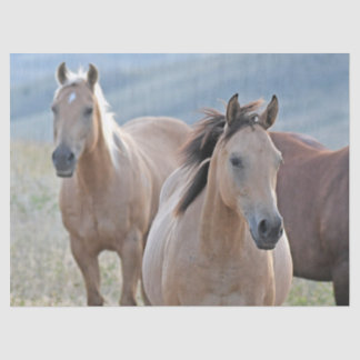 Coloured Horses Tissue Paper