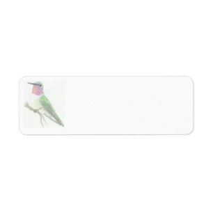 Coloured Hummingbird Drawing Label