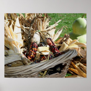 Coloured Indian Corn In Wicker Basket Fall Poster