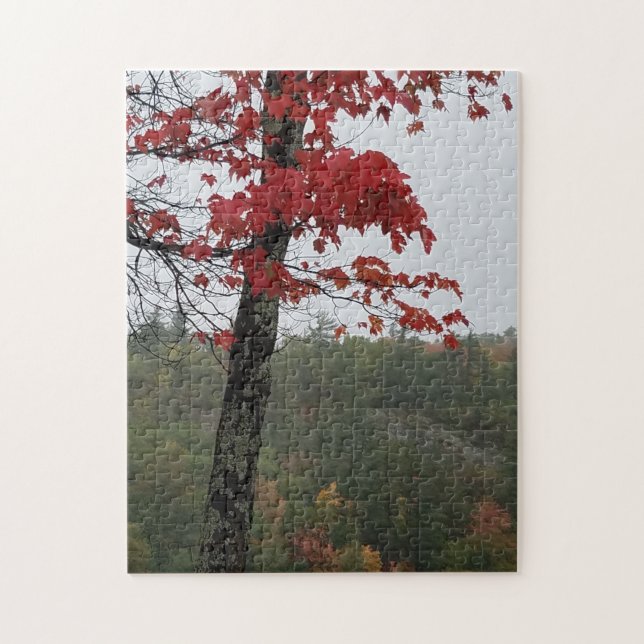 Coloured Leaves It's Autumn Jigsaw Puzzle (Vertical)