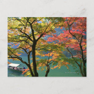 Coloured Leaves Postcard